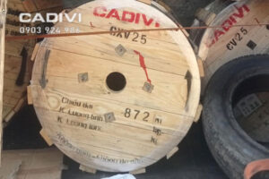 Dây cáp điện CXV 25