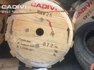 Dây cáp điện CXV 25