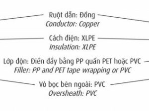 Cấu trúc cáp đồng hạ thế CXV 0,6/1kV - CADIVI