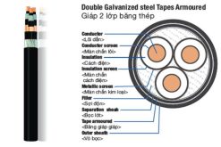 Cấu trúc cáp ngầm Cu/XLPE/PVC/DSTA/PVC 12.7/22(24)kV