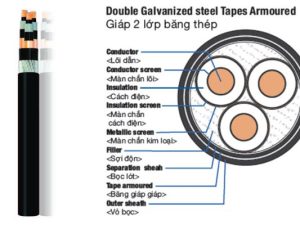 Cấu trúc cáp ngầm Cu/XLPE/PVC/DSTA/PVC 12.7/22(24)kV