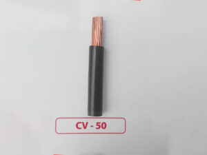 Cáp CADIVI CV 50